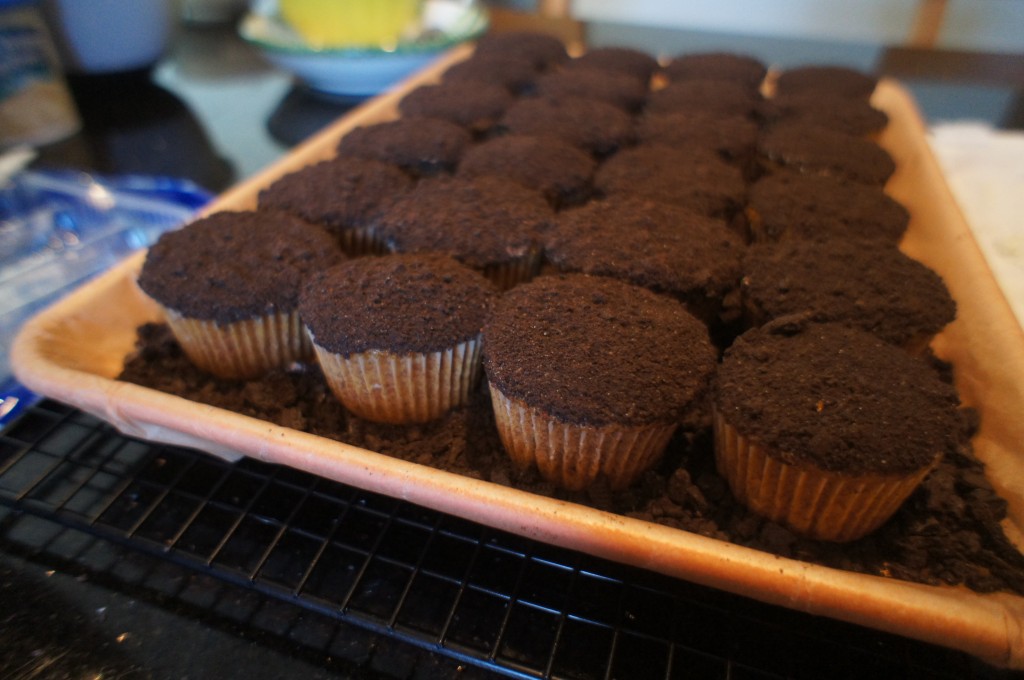 dipped cupcakes on tray