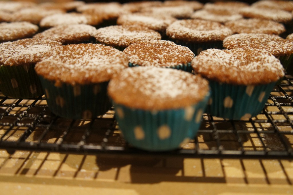 muffins